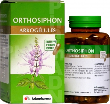Arkogelules orthosiphon