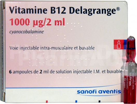 Vitamine b12 delagrange 1000 µg/2 ml