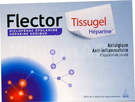 Flector tissugel heparine 1 g/40 000 ui pour 100 g